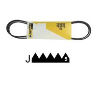 80001704. COURROIE 1210 J5 POLY-V CANDY