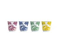 8006363042918 Bialetti - Primavera - Set of 4 Espresso Cups Bialetti