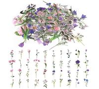80pcs Stickers Fleurs Autocollants Scrapbooking Fleurs Vintage Autocollants Plantes Pet Autocollants Décoratifs Transparents Autocollants Décoratifs Bricolage Pour Carnet de Notes D'Album Photo