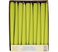 81113 Lot De 50 Bougies De Chandelier Lime 2,2 X 25 Cm