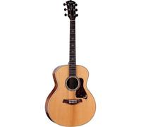 Taylor Taylor Gold Label 814e