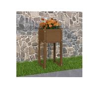 822128 Jardinière Marron miel 40x40x81 cm Bois massif de pin