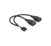 [83292] Delock Câble USB Pinheader 10Pin -> 2x A F - F 0.20m