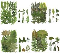 84 Pcs Feuilles Séchées Pressées Plante Herbier Feuilles Pétales Mixtes Réel Feuilles Sèches Naturelles Pour Résine Art Artisanat Diy Nail Autocollants Décorations Embellissement Feuille Pressée (A)