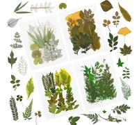 84 Pcs Feuilles Séchées Pressées Plante Herbier Feuilles Pétales Mixtes Réel Feuilles Sèches Naturelles Pour Résine Art Artisanat Diy Nail Autocollants Décorations Embellissement Feuille Pressée (C)