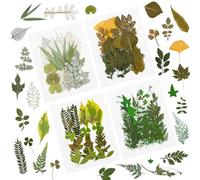 84 Pcs Feuilles Séchées Pressées Plante Herbier Feuilles Pétales Mixtes Réel Feuilles Sèches Naturelles pour Résine Art Artisanat DIY Nail Autocollants Décorations Embellissement Feuille Pressée (C)
