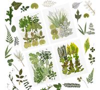 84 Pcs Feuilles Séchées Pressées Plante Herbier Feuilles Pétales Mixtes Réel Feuilles Sèches Naturelles pour Résine Art Artisanat DIY Nail Autocollants Décorations Embellissement Feuille Pressée (D)