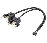 - Câble interne USB vers externe - connecteur USB 10 broches (F) pour USB (F) - 25 cm - noir