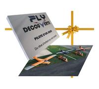 85 Sables-D'olonne - Baptême De L'air, Vol Découverte Initiation Au Pilotage - 20 À 60 Min - Coffret Cadeau Vol Aérien Fly Decouverte