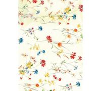 851 - Pochette de 20 feuilles 30x40cm