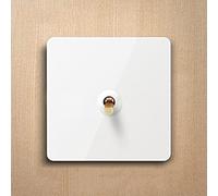 86 interrupteur à bascule / interrupteur à bascule 1-4gang chariot en laiton lumière à commande unique 10A / 220V 86 type interrupteur d'amélioration de l'habitat blanc rétro levier moleté acier inoxy