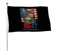 8647 Destitution du 47e président : Pas de roi en Amérique - Drapeau artistique - Bannière de camping 90 x 150 cm