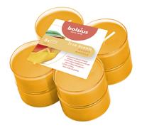 8717847151599 Bolsius Świece zapachowe maxi light 8 szt True Scents Mango Bolsiu