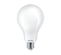 8718699764678 ampoule LED 23 W E27 D