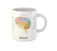 874 Tasse Céramique Schéma De La Neuroscience Médicale Cérébrale De La Tête Du Cerveau Humain Humoristique Tasses À Thé Avec Poignée Tasses En Porcelaine 330Ml Pour Thé,Café,Amies
