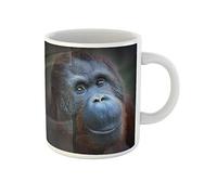 874 Tasses En Porcelaine Animal Sourire Heureux De L'Orang-Outan De Bornéo Pongo Pygmaeus Personnalisée Tasses À Thé Avec Poignée Mugs 330Ml Pour Fête Des Mères,Café,Thé