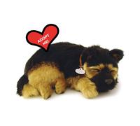 88 Peluche Berger Allemand Unlimited