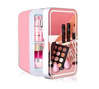 8L Miroir De Maquillage Soin De La Peau Réfrigérateur Portable avec Lumière LED À 3 Vitesses Chauffe-Aliments Et Refroidisseur De Boissons pour La Maison, Le Bureau, La Voiture, Le Dortoir AC + DC (C