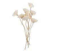 8pièces Bâtons De Diffuseur Rotin Fleur Décoration Aromathérapie pour Parfums Et Ambiance Naturelle
