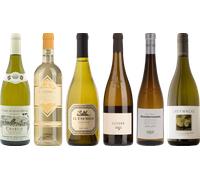 8Wines Sélection du personnel Cas de dégustation de vin blanc 4.5l