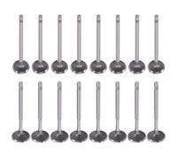 8x Soupape D'admission 8x Sortie Vanne for Audi Seat VW 036109601S 036109611