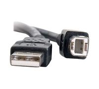 9.8ft USB A to USB B Cable - USB A to B Cable - USB 2.0 - Black - M/M - Câble USB - USB (M) pour USB type B (M) - USB 2.0 - 3 m - noir