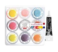 9 mini colorants alimentaires en poudre + Stylo de glaçage noir