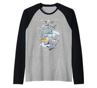 9 Types de Requins marteaux de l'océan coloré 14 Juillet Manche Raglan