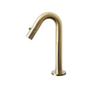 9020978 Indus robinet lave-mains or brossé eau froide