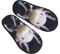 908 Chaussons Femme Homme Axolotls Chaud Chaussons Chaude Pantoufles En Peluche Confort Maison Pantoufles Pour Hôtel Voyager Intérieur M
