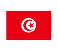 90x150 Cm Drapeaux Décoratifs Tunisie Feel Pour La Maison, Bannières, 90x150cm Drapeau Haute Qualité ""Nipseyteko