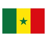 90x150 Cm Drapeaux Nationaux Du Sénégal Pour La Décoration, Intérieur Et Extérieur, Polyester, Face, 90x150cm Drapeau Haute Qualité ""Nipseyteko