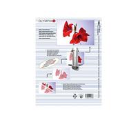[9176] OLYMPIA Lot de 100 Pochettes de Plastification A4 125 microns