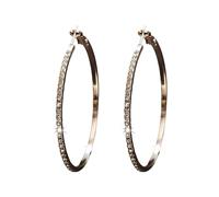 925 Sterling Silver Earrings For Women Full Dangle Round Hoop Earrings For Her Kits Fabricant Organisateur Nettoyeur Examen Bijoux (B, One Size)