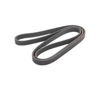 95510293300 Courroie Transmission Pour Porsche Pour Cayenne 2004-2011 2012 2013 2014 2015 2016 2017 2018 Courroie Distribution