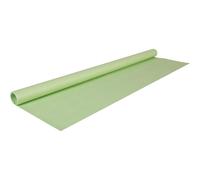 Clairefontaine Papier cadeau kraft 95721C – Kraft recyclé 65 g – 3 x 0,70 m – Vert bourgeon