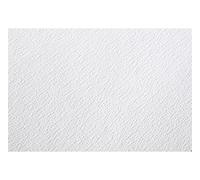 [96387C] Clairefontaine Paquet de 25 feuilles de papier dessin Etival grain c...