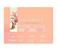 [96470C] Clairefontaine Bloc Etival grain fin 18x24 25 feuilles 300g encollé ...
