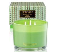 96NORTH Bougie de soja de luxe à l'eucalyptus et à la sauge | Grande bougie en pot à 3 mèches | Jusqu'à 50 heures de combustion | Cire de soja 100 % naturelle | Bougies esthétiques relaxantes pour