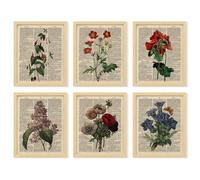 97 DECOR Dictionnaire floral recyclé - Poster de fleurs vintage, peinture botanique antique, pages de livres de fleurs, décoration murale, photos de fleurs sauvages pour décoration d'intérieur (8 x 10