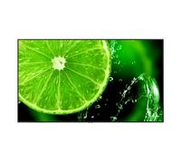 98" E Series large ormat display, UHD, 350 cd/m2, Direct LED backlight, 24/7 proof, Media Player