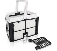 9991460-R1 Panier filtrant ultra fin compatible avec les robots nettoyeurs de piscine Dolphin Compatible avec E10, S50, S100, Active 10, Echo, Saturn, Escape, Encore, Prowler 910, Proteus DX3,