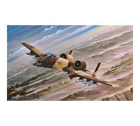 A-10a Thunderbolt Ii - 1:72e - Hobby Boss G