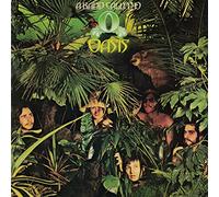 a band called o - oasis