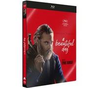 A Beautiful Day Steelbook Blu-ray E
