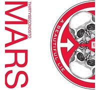 A Beautiful Lie
