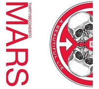 A Beautiful Lie Vinyle