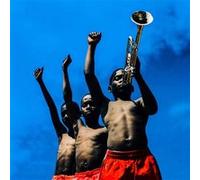 A Beautiful Revolution