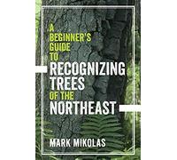 A Beginner's Guide To Recognizing Trees Of The Northeast