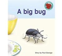A big bug by Paul George Capstone Global Library Ltd (Auteur)